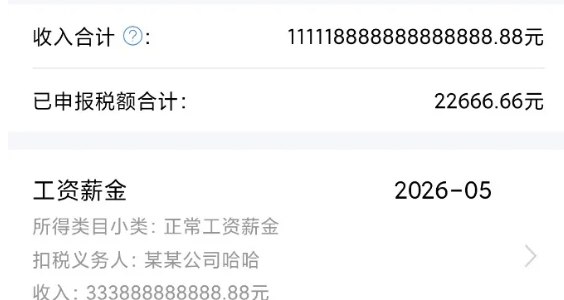 个人所得税模拟器_5.0.8-黑狗资源库