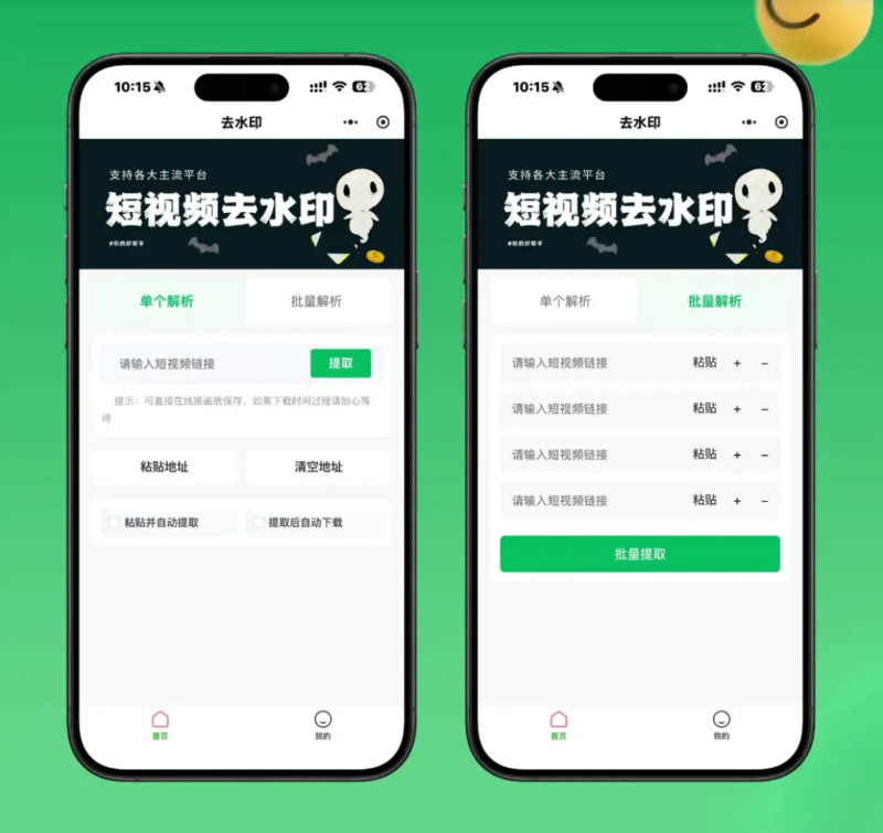 2026最新去水印小程序源码 v1.6.5 带流量主-黑狗资源库